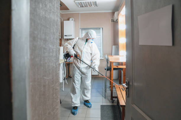 Best Mold Documentation for Insurance Claims  in Honsville, GA