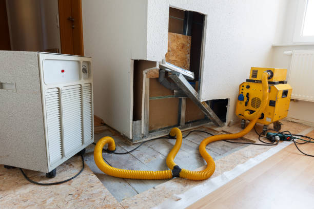 Trusted Hogansville, GA Mold Removal Experts