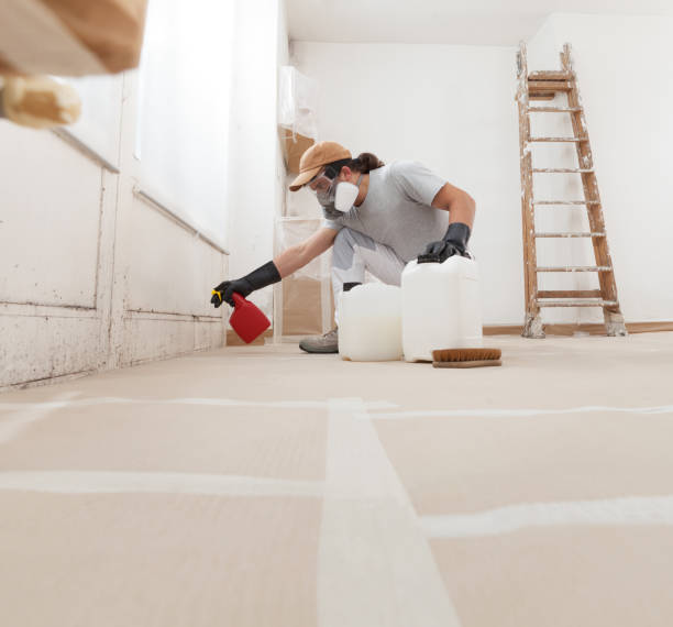 Best Industrial Mold Remediation  in Honsville, GA