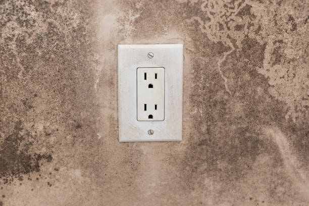  Honsville, GA Mold Removal Pros