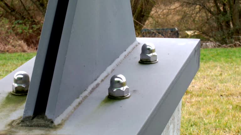 Best Forensic Mold Investigation  in Honsville, GA
