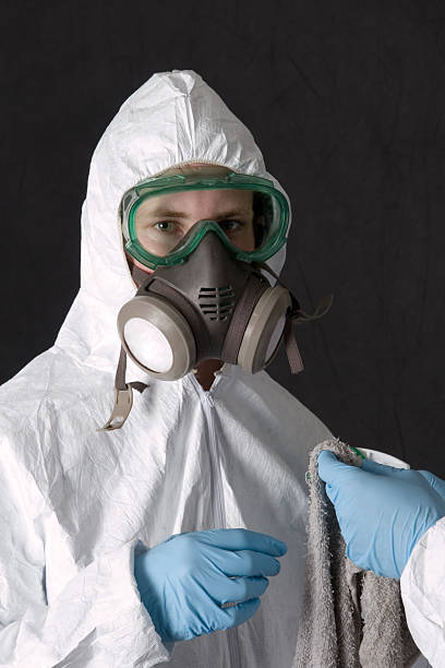 Best Crawl Space Mold Remediation  in Honsville, GA